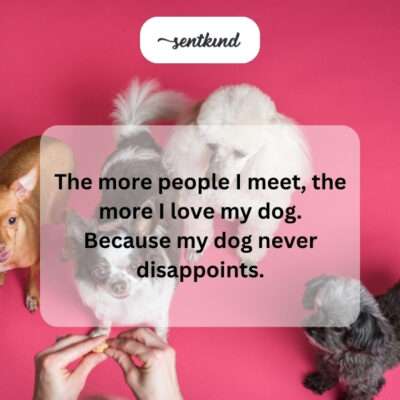  Person looking fondly at their dog.