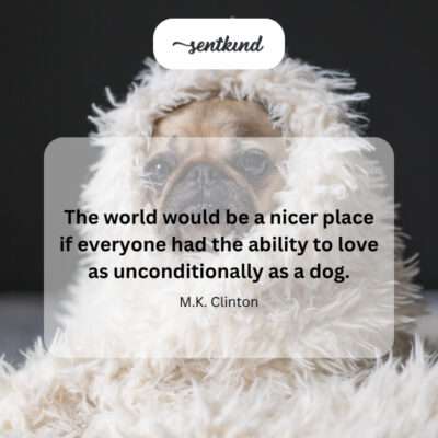 Diverse group of people and dogs interacting.