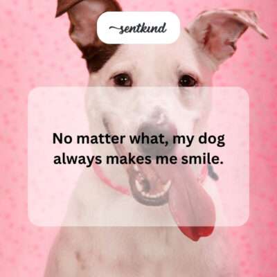 Dog with a happy expression.