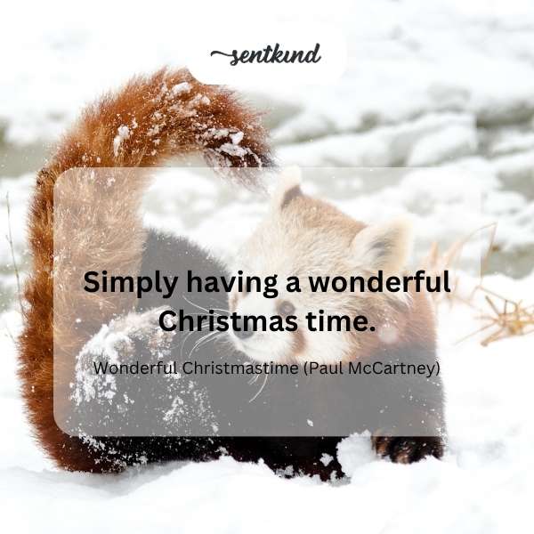 Wonderful Christmas time.