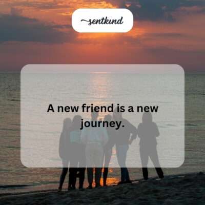 Beginning a new friendship