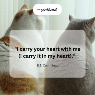 Hand over heart, expressing deep connection.