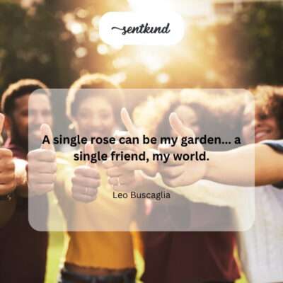 A single rose blooming brightly.