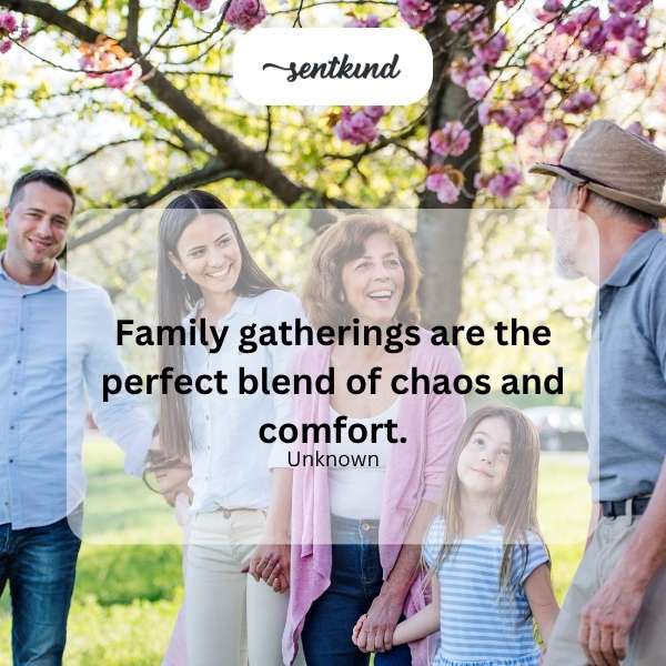 Family chaos and comfort.