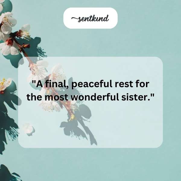 A serene garden with blooming flowers and a peaceful atmosphere.