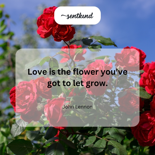 A vibrant flower blossoms, bathed in sunlight.