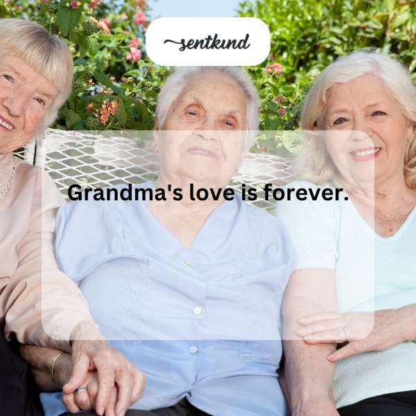 A warm embrace between a smiling grandmother and her grandchild.