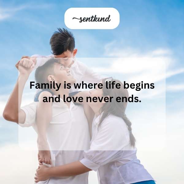 A multigenerational family is embracing in a sunlit park.