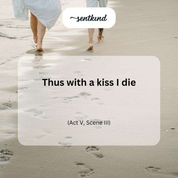 110+ Timeless Shakespeare Love Quotes to Melt Hearts