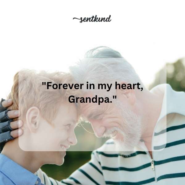 A heartfelt handwritten letter expressing deep affection is gently illuminated by soft, warm light.