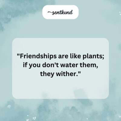 Unwatered plant.