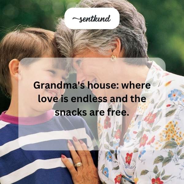 A cozy kitchen scene featuring a grandmother smiling while taking a plate of freshly baked cookies from the oven.