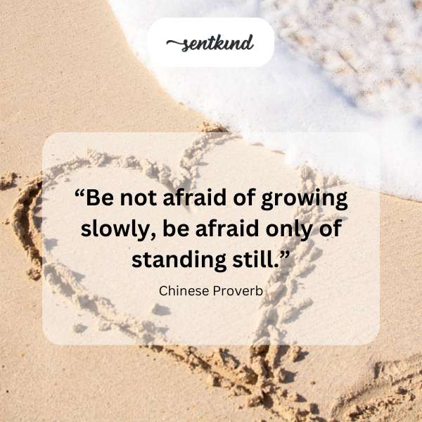 Sprouting seed emerging from soil symbolizes growth.