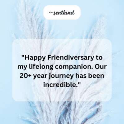 20+ year journey