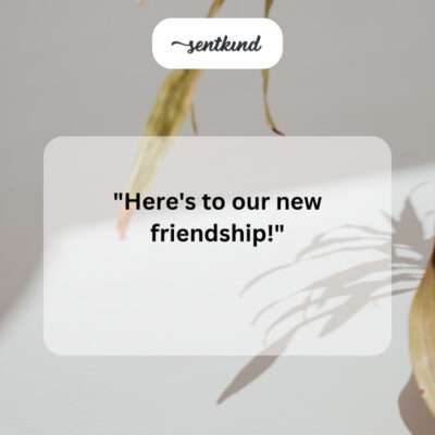 New friendship