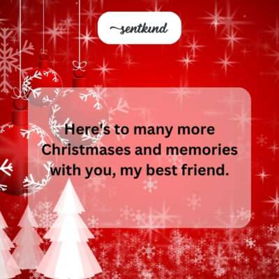 More Christmases and memories with best friend.