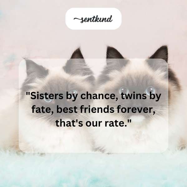 Two young women, presumably twins, are embracing and smiling at the camera.