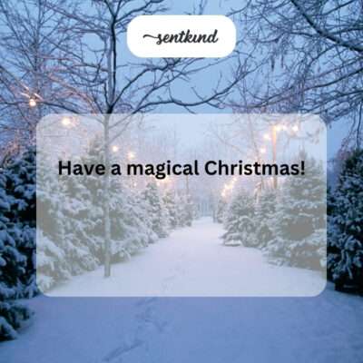 Have a magical Christmas.
