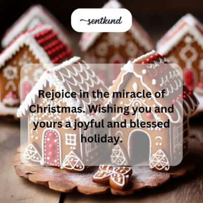 Rejoice in Christmas miracle, joyful holiday.