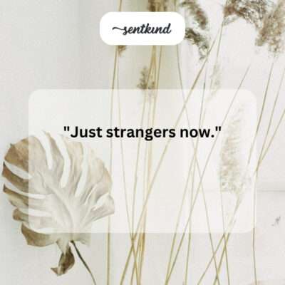 Now strangers.