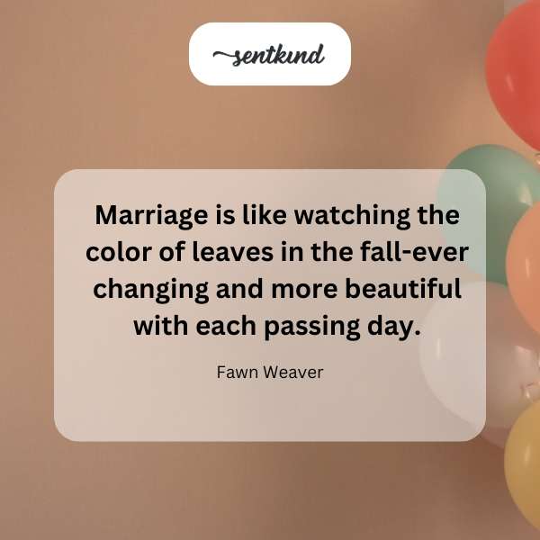 Colorful autumn leaves display vibrant hues, representing the beauty of changing seasons.