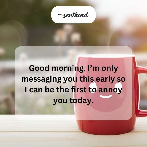 A person smirks wickedly while holding their phone in bed early in the morning.