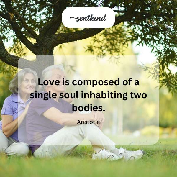 Two intertwined figures represent a shared soul and deep connection.