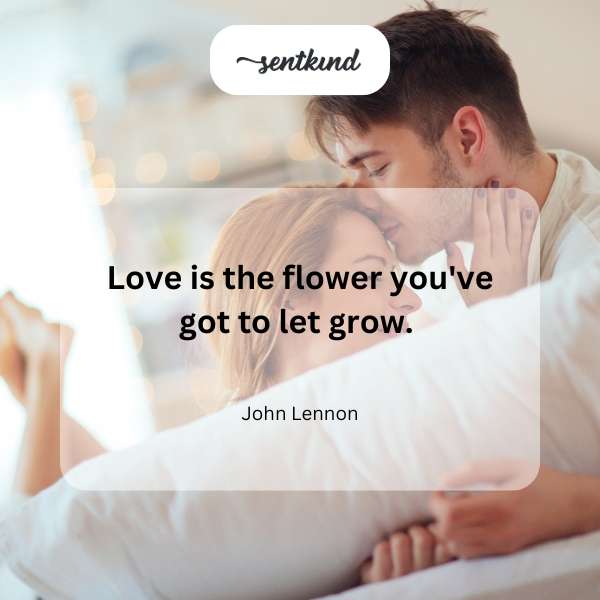 A vibrant flower blooms amidst lush green foliage.