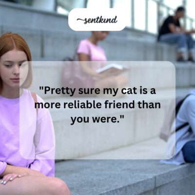 Cat friend.