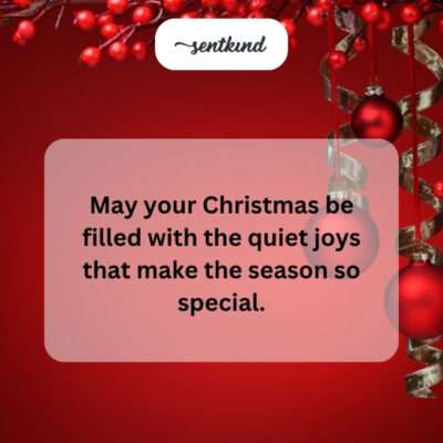 Christmas filled with quiet joys.