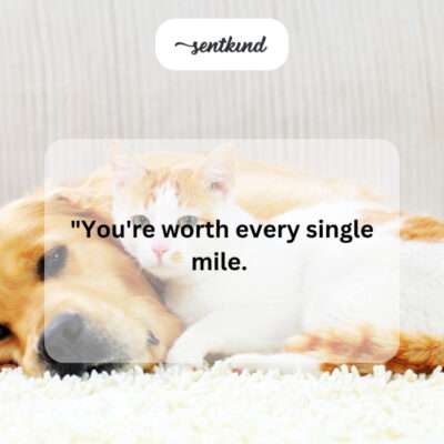A friend worth every mile