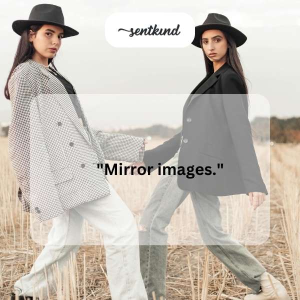 Two identical butterflies are displayed side-by-side, creating a mirror effect.