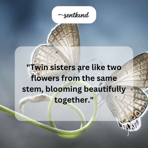 Two young twin sisters stand side-by-side in a field of wildflowers.