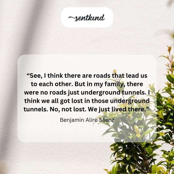 A dark, winding underground tunnel stretches into the distance, symbolizing hidden family paths.