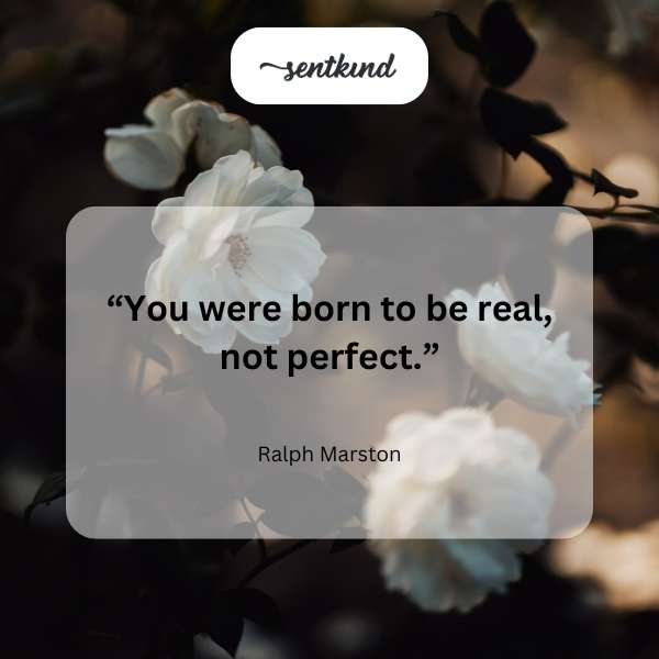 Inspirational quote against a blurred bokeh background.