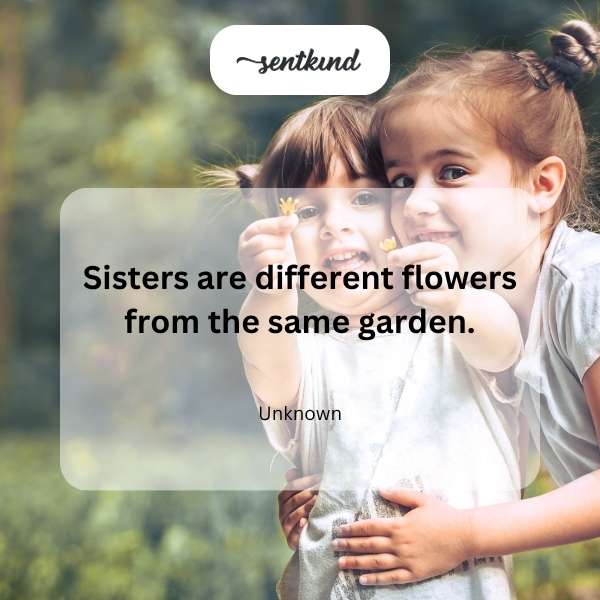 An illustration showing two diverse women represented by different vibrant flowers blooming in the same garden.