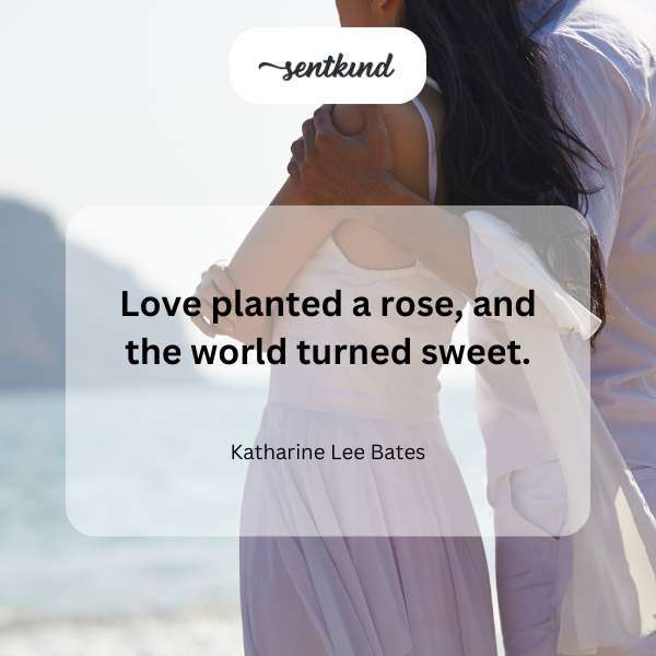 A vibrant red rose blooms amidst lush greenery.
