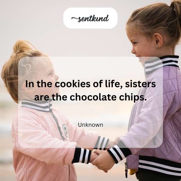 A warm, freshly baked chocolate chip cookie rests on a rustic surface, symbolizing the comfort and sweetness sisters bring to life.