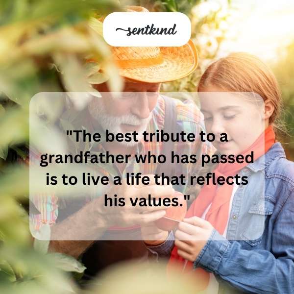 A collage of photos showcasing a man's life achievements and joyful moments with family.