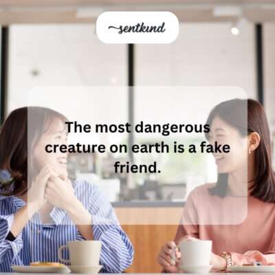 Fake friend is the most dangerous creature.