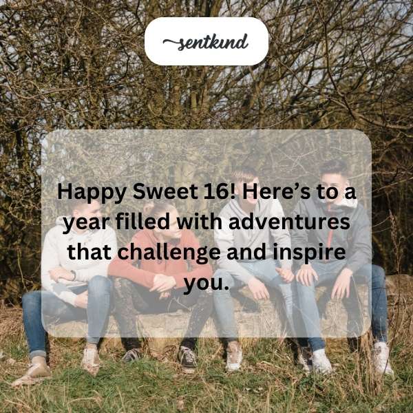Celebrating the milestone of turning sixteen with joyful wishes.