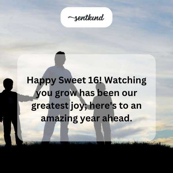 Heartfelt greetings for a special sixteenth birthday celebration.