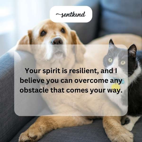 Celebrating a milestone: Happy 25th birthday to a strong and resilient spirit.