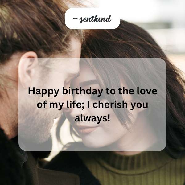 Heartfelt celebration message for my beloved partner's special day.
