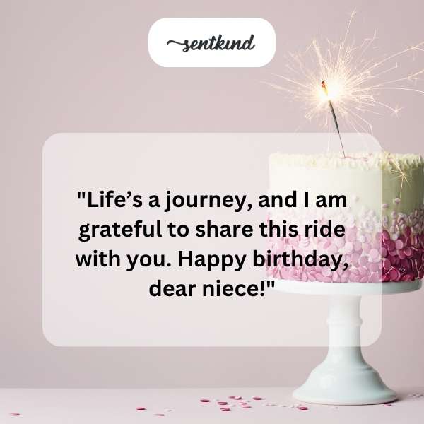 Warm greetings for a special niece on her birthday.