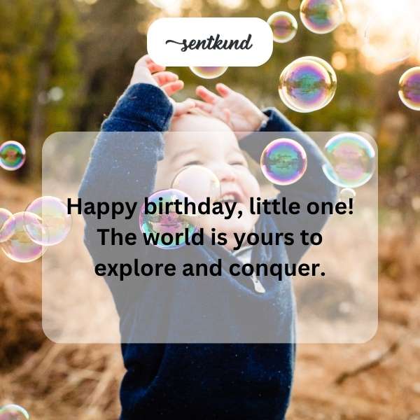 Celebrating the first year of a curious explorer's life.