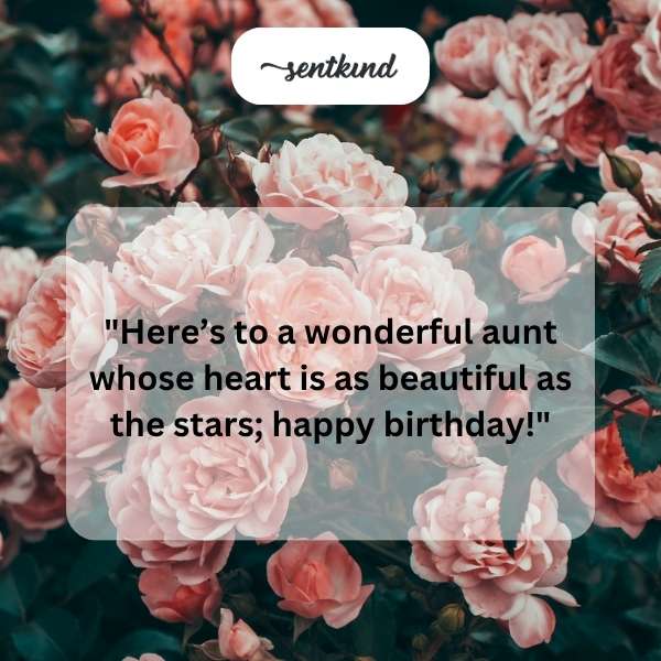 Celebrating the special day of a beloved aunt with heartfelt messages.