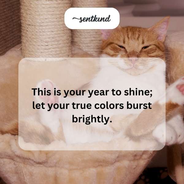 Celebrating the beginning of your most vibrant chapter yet.