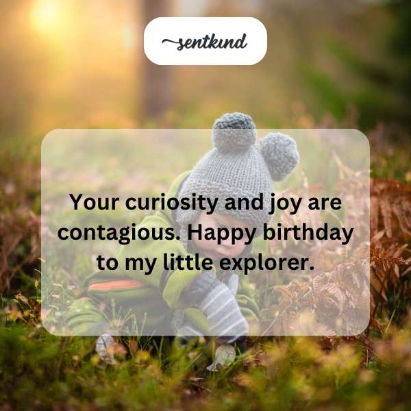 Celebrating the first year of wonder and adventure.