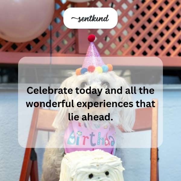 Cheers to turning 21 and the exciting adventures that await.